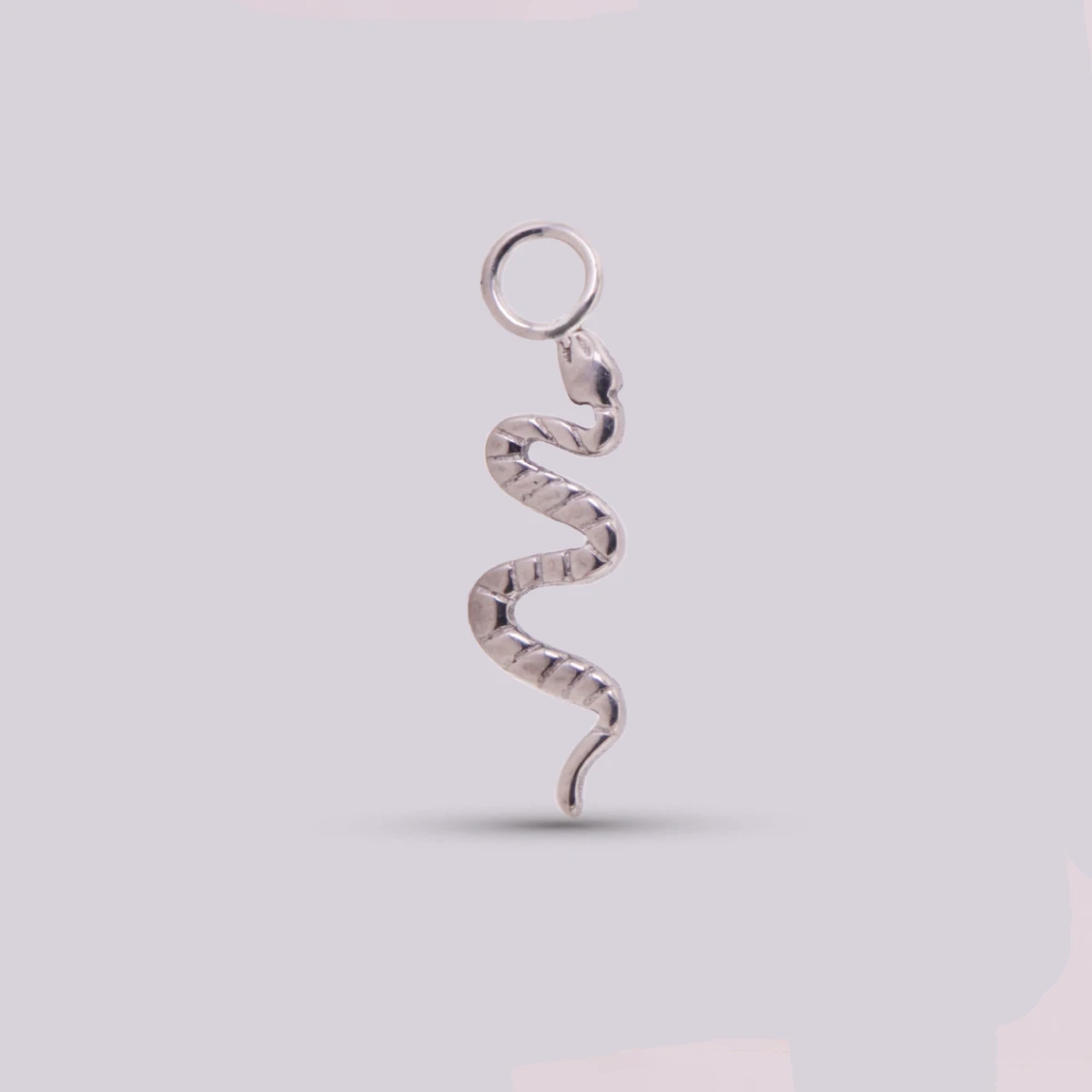 Charm Serpiente en Titanio – Plateado y Dorado