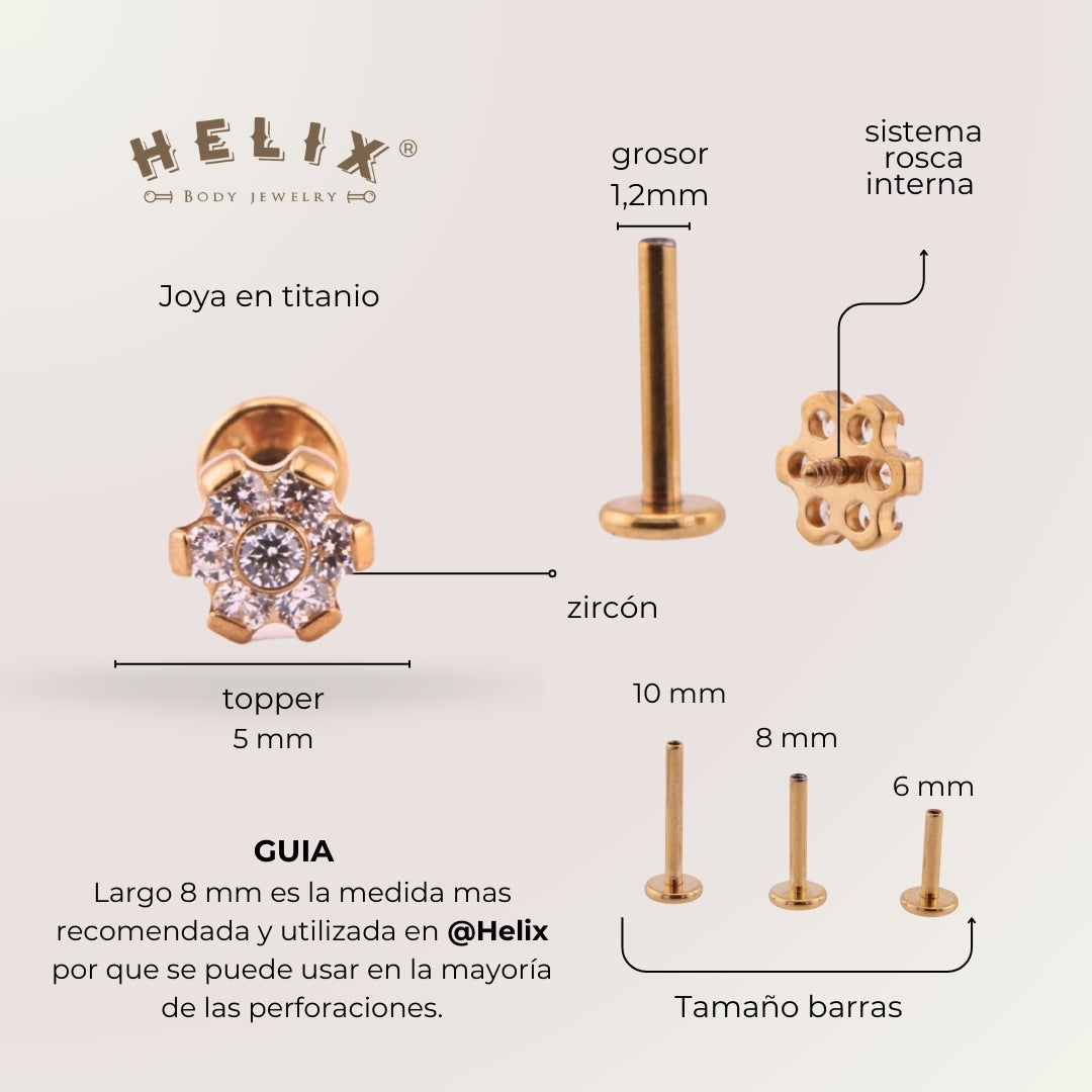 Labret Flor Dorada en Titanio Grado Implante con Zirconias