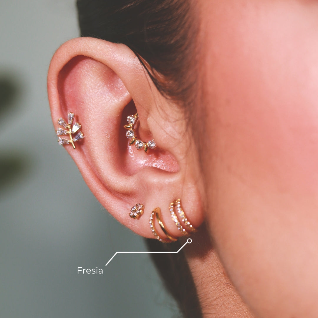 Aro Fresia en Titanio Grado Implante con Doble Zirconia