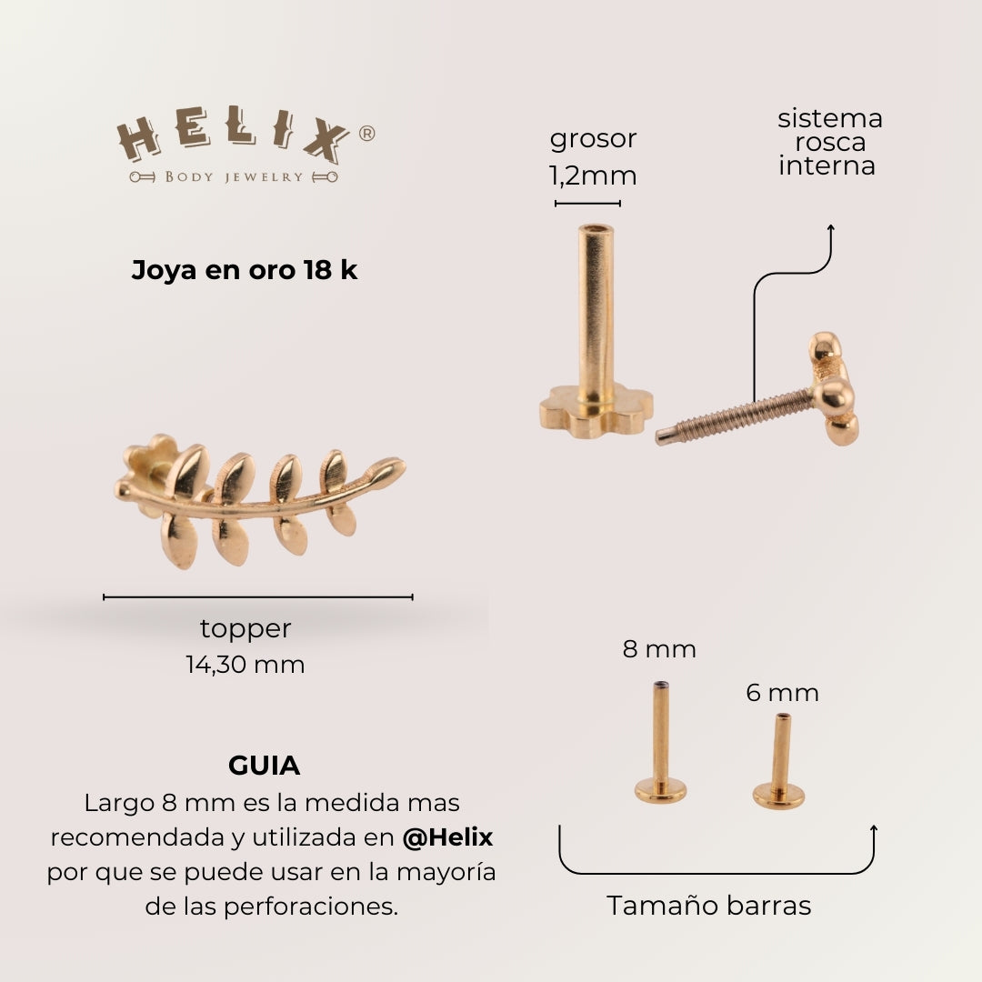 Labret Laurel con Pétalos | Oro 18K
