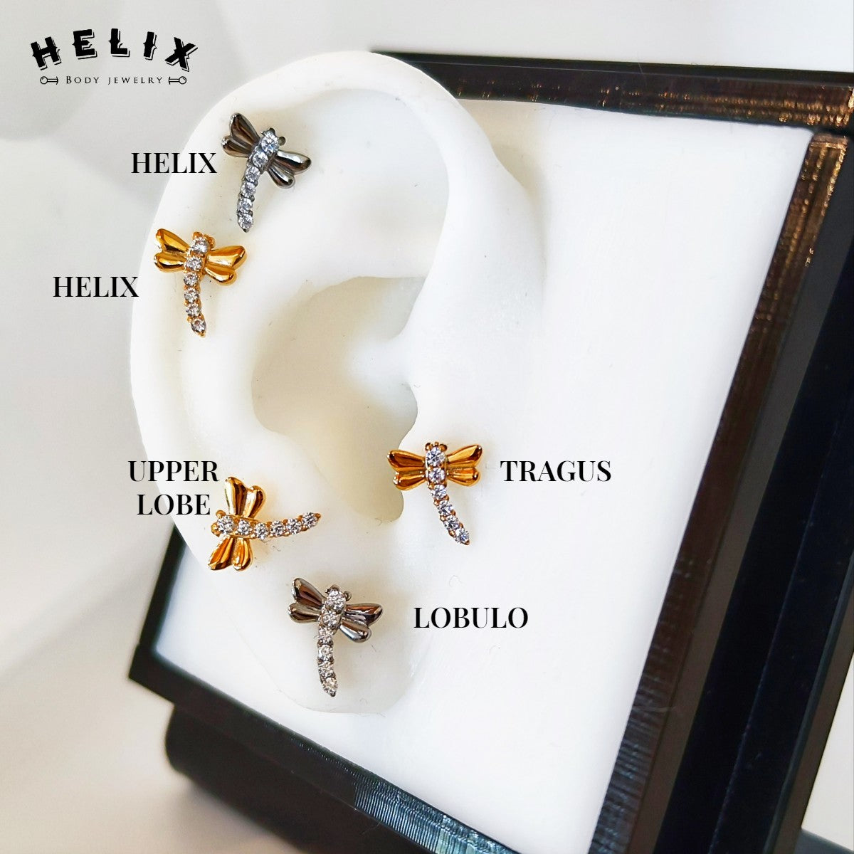 Labret Dragonfly en Titanio